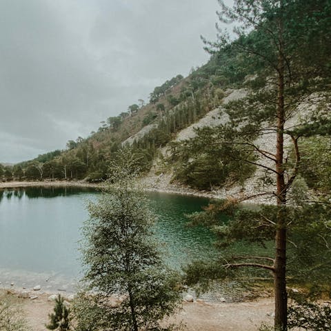 Experience the natural beauty of the Cairngorms National Park
