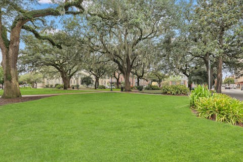 Wander between the moss-covered trees in Oglethorpe Square, right across the road