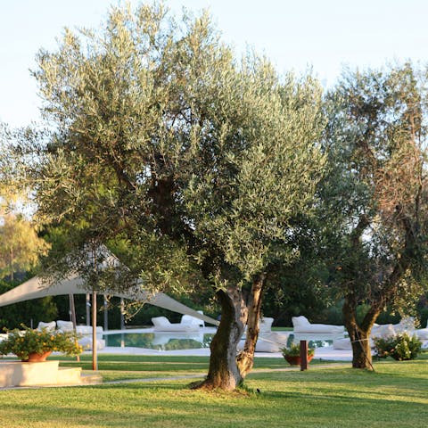 Enjoy the feeling of retreating to your own private sanctuary nestled in the countryside