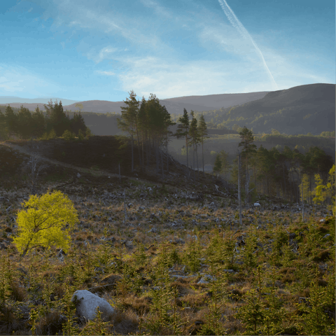 Discover the wild beauty of the Cairngorms National Park