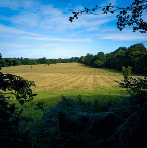 Discover Ashford in the heart fo the Kentish countryside