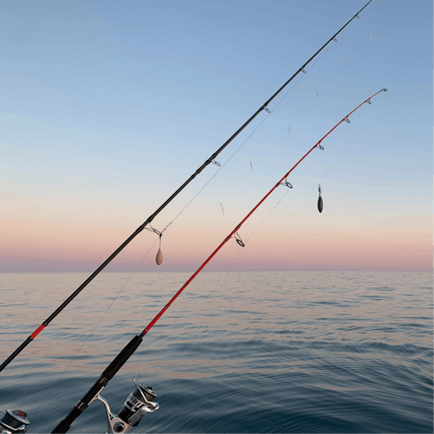 Arrange for guided fishing trips and equipment from the friendly hosts