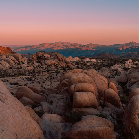 Stay a thirty-minute drive from Joshua Tree National Park