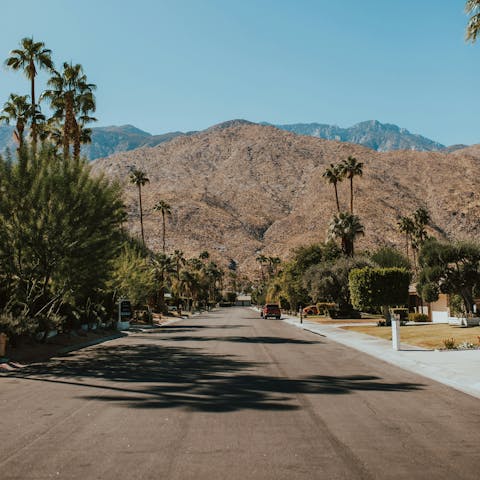 Discover all that Palm Springs has to offer