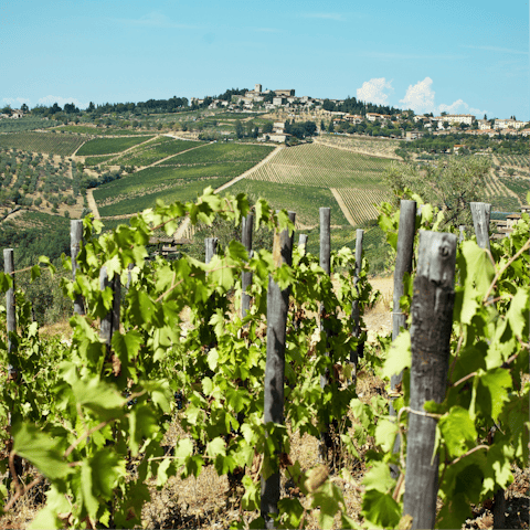 Stay in Chianti wine region, 5 kilometres from Castellina
