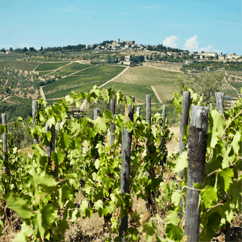 Stay in Chianti wine region, 5 kilometres from Castellina
