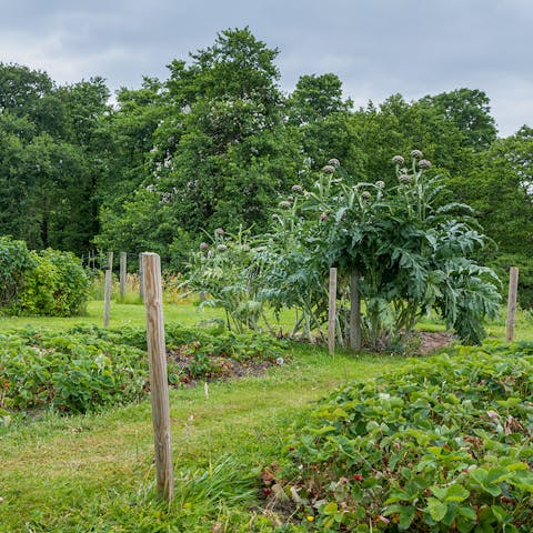 Take a stroll around the three acres of grounds and see what you discover
