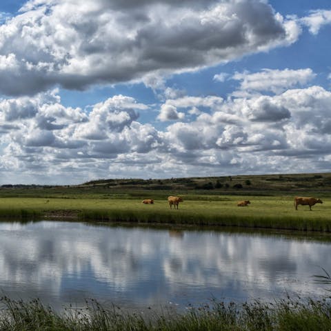 Stay in beautiful rural Essex, just ten minutes outside of Basildon