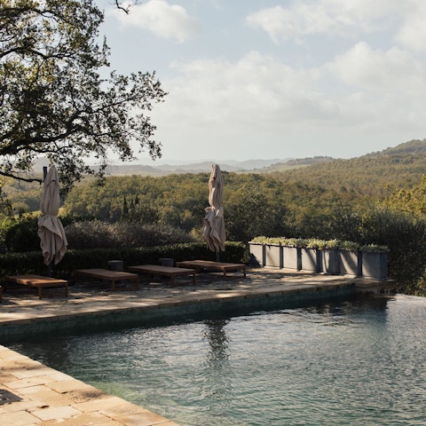 Cool off in the private pool while gazing out at the view