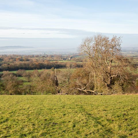 Take the pups for a walk along the Cotswold Way