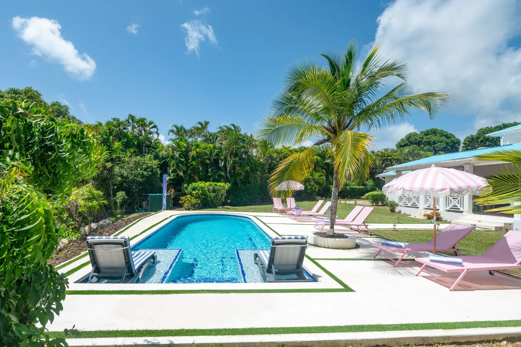 Barbados Bloom