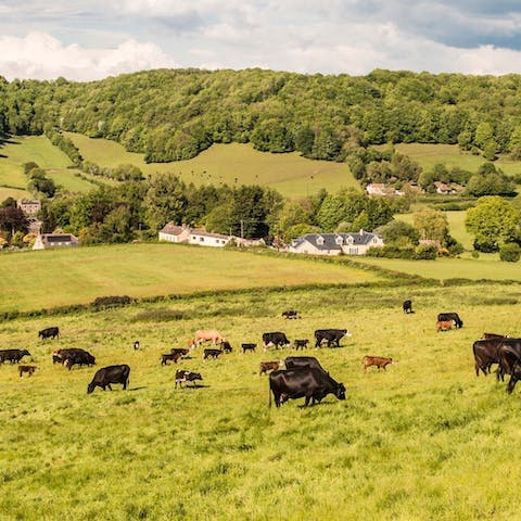 Wind your way through the rolling hills and charming villages of the Southwest Cotswolds