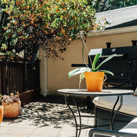 Sit in the sunshine on the cute little terrace
