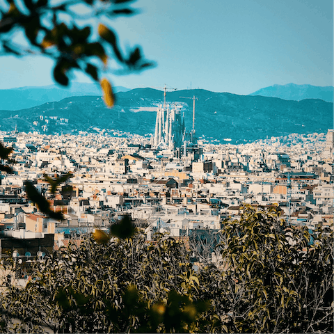 Explore the lively streets of Eixample on foot