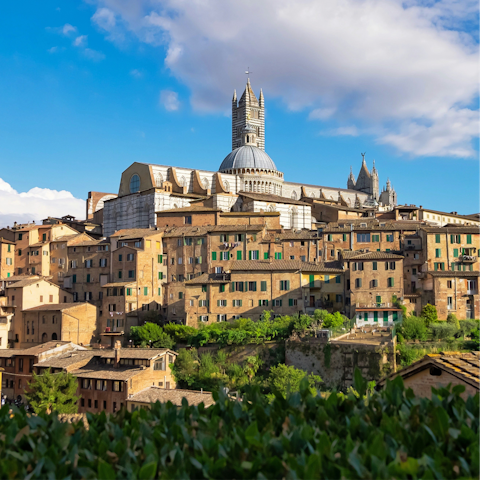 Soak up traditional Tuscan charm while exploring Siena