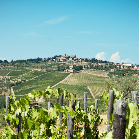 Follow hiking trails through the beautiful countryside of Chianti