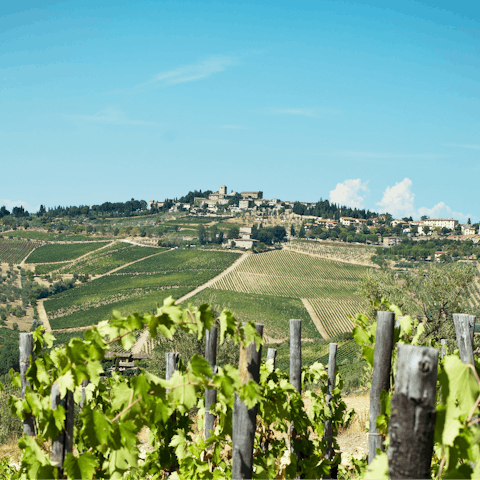 Follow hiking trails through the beautiful countryside of Chianti