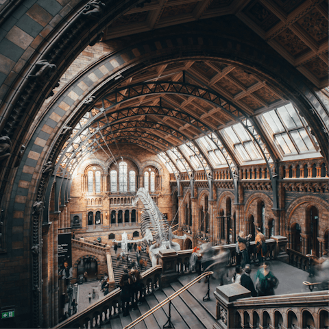 Spend the day at the Natural History Museum, fifteen minutes away