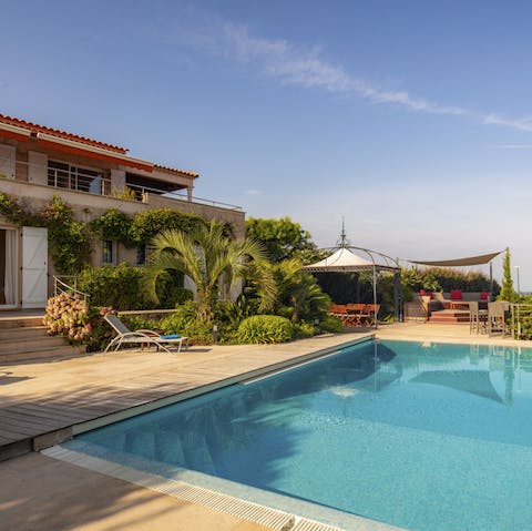 A beautiful (and sizeable) pool