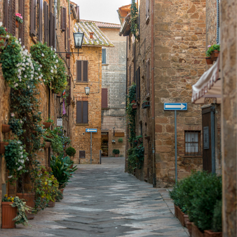 Explore the Renaissance village of Pienza, a twenty-minute drive away