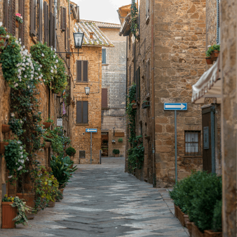 Explore the Renaissance village of Pienza, a twenty-minute drive away