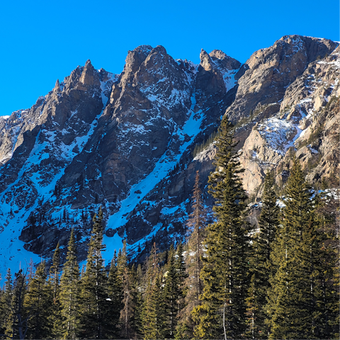 Embark on a hike along the Buffalo Mountain Trail, a ten-minute drive away