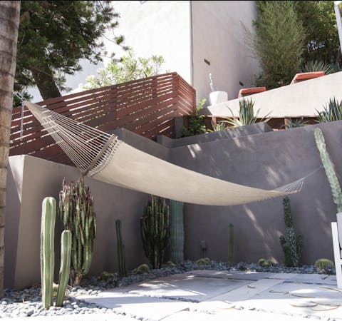 The shady hammock