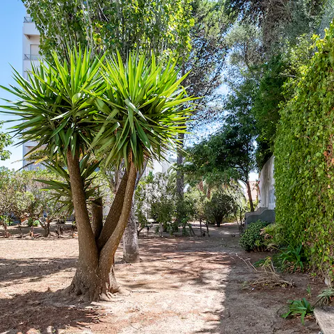 Stroll through the shared back garden and admire the greenery