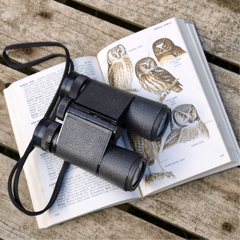 Visit the Otmoor Nature Reserve – it's just beyond the fields