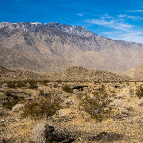 Hike the nearby North Lykken trail or other desert paths