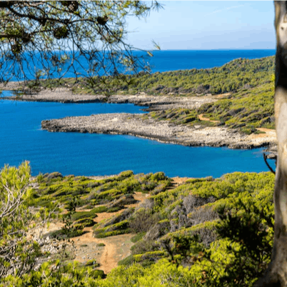 Visit the nature reserve and protected marine area of Torre Guaceto