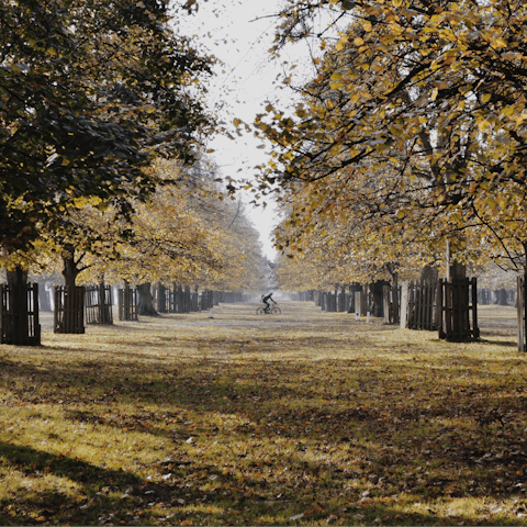 Take refreshing afternoon strolls through nearby Bushy Park