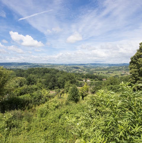 Go for a walk in the countryside