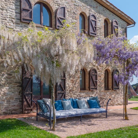 Relax on the sofa under the fragrant wisteria vine