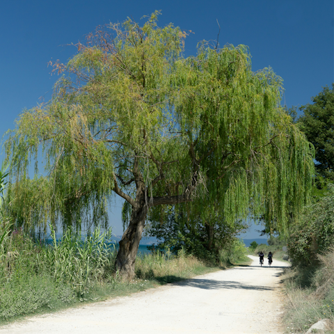 Ride bikes and go for a swim at Lake Bolsena
