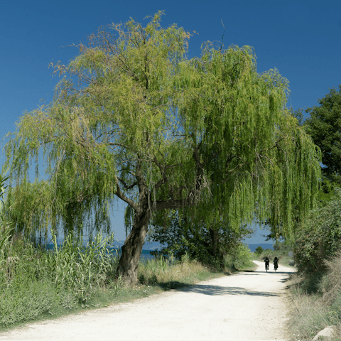Ride bikes and go for a swim at Lake Bolsena