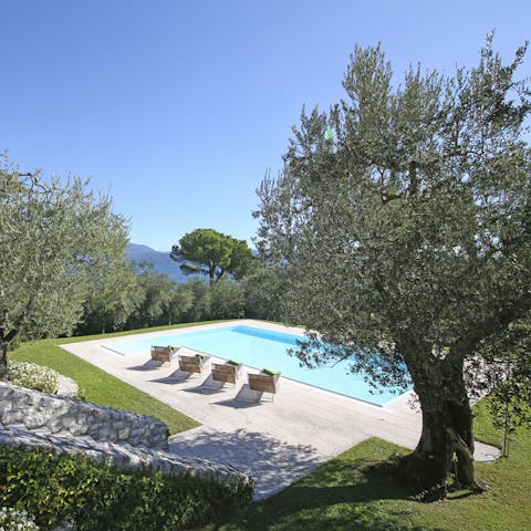 A stunning pool for early-morning dips