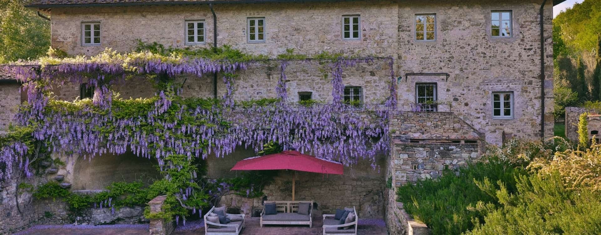 Wisteria & Wine