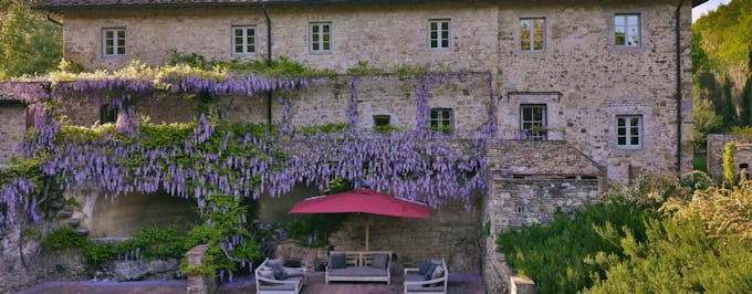 Wisteria & Wine