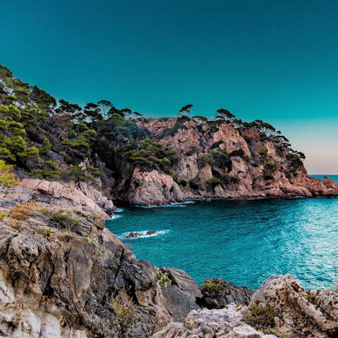 Swim in the sea at Playa de Cortijo Blanco, a short drive away