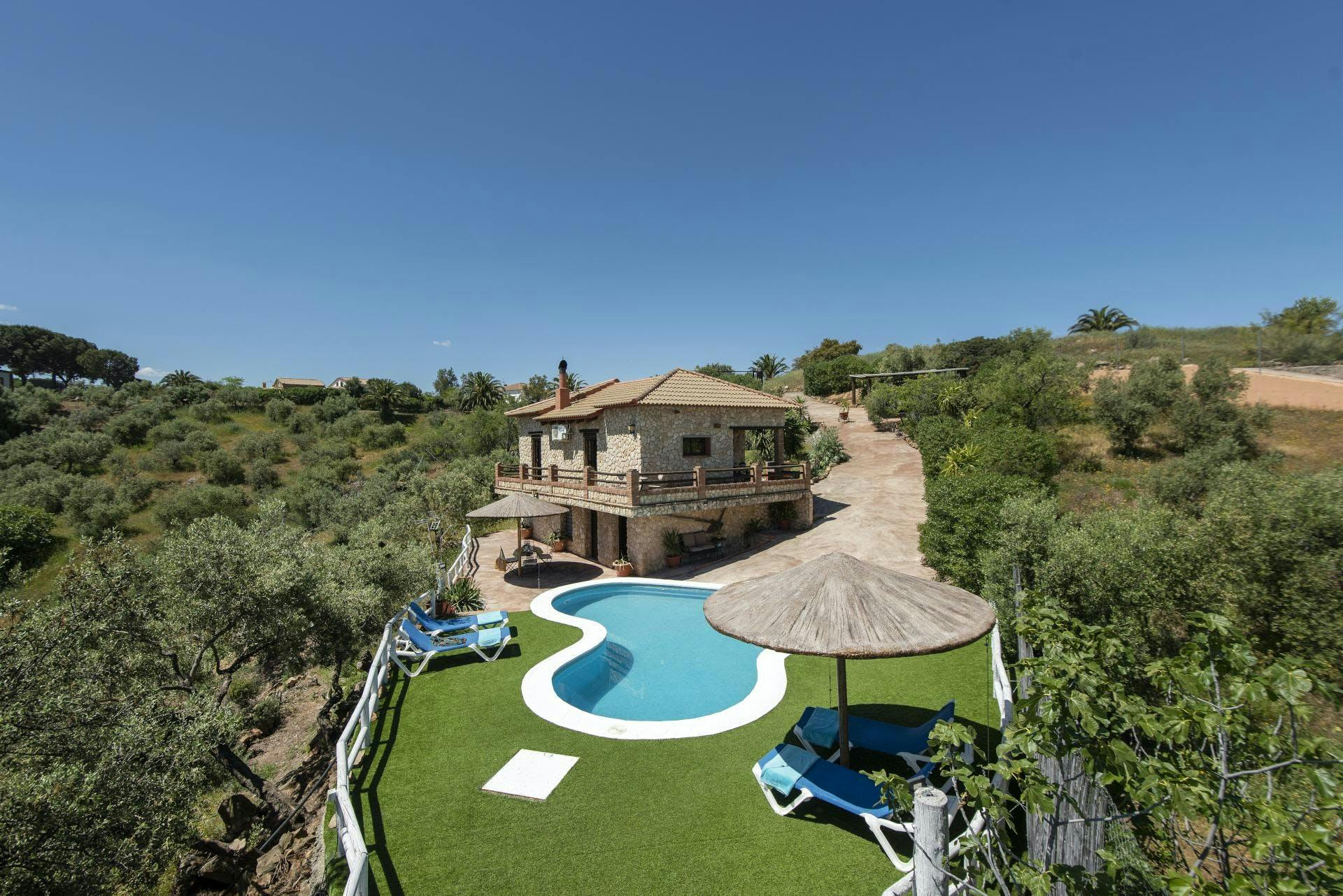 The Mountain's Dream