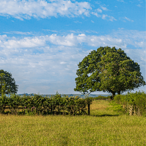 Put on your walking shoes and get out to the Surrey countryside