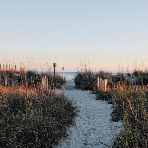 Experience the beauty of Kiawah Island from the beach – a short ride away
