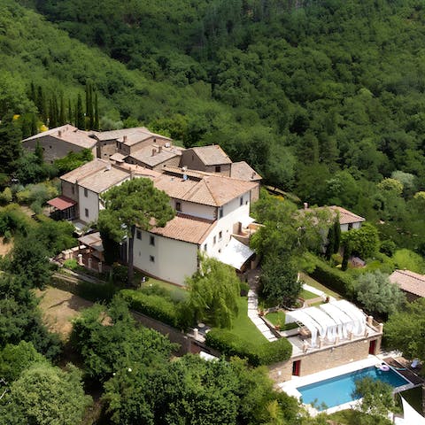 Stay off the beaten track in the upland forests of the Chianti