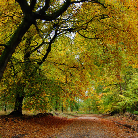 Get out and explore Wiltshire's countryside