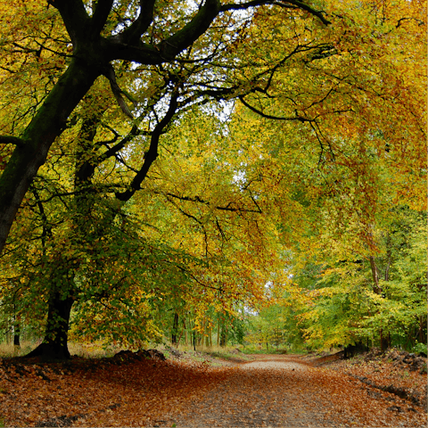 Get out and explore Wiltshire's countryside