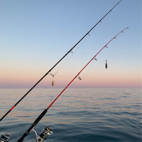 Go fishing on the pier, and you may spot migrating whales