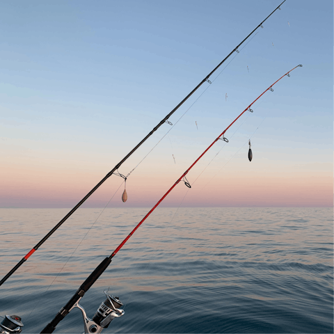Go fishing on the pier, and you may spot migrating whales