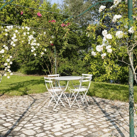 Enjoy local delicacies and wine in the flora of the gardens