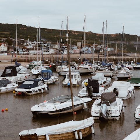 Explore Lyme Regis, including the famous Cobb harbour
